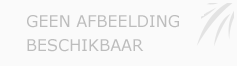 Afbeelding › Onell Music