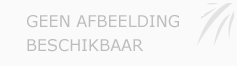 Afbeelding › Andy Dekker